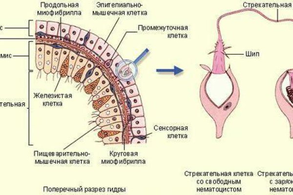 Рабочее зеркало омгомг